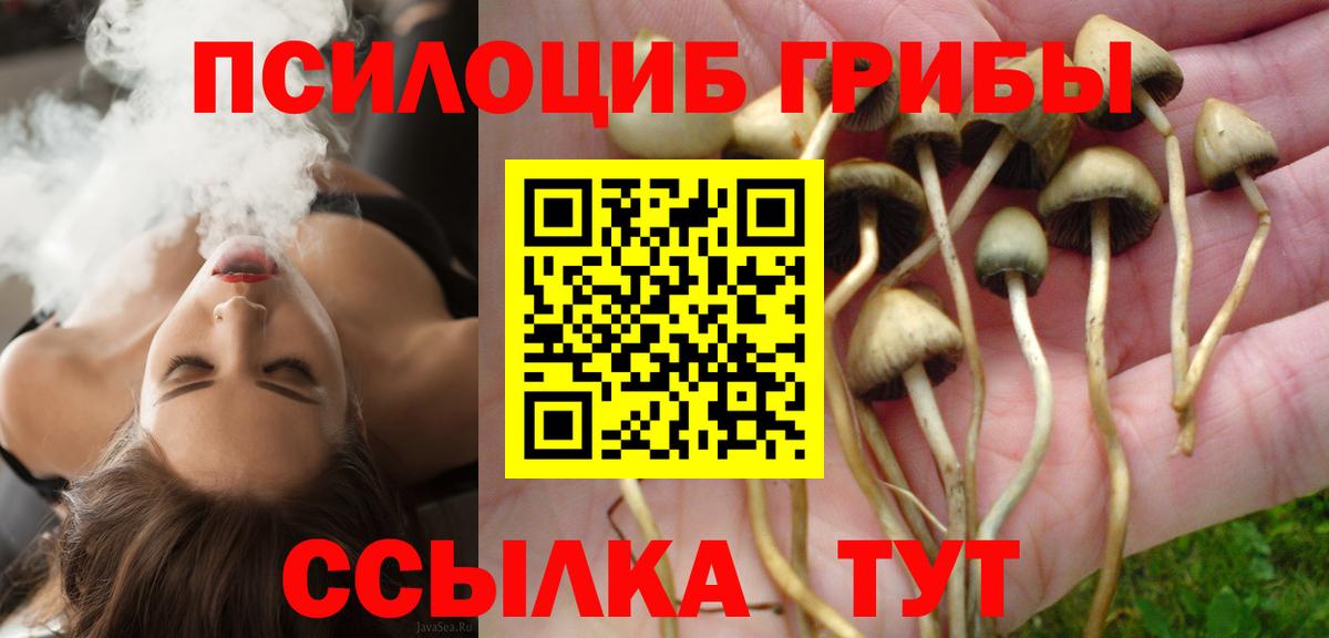 Озёры  Галлюциногенные грибы MAGIC MUSHROOMS  Вход с VPN 