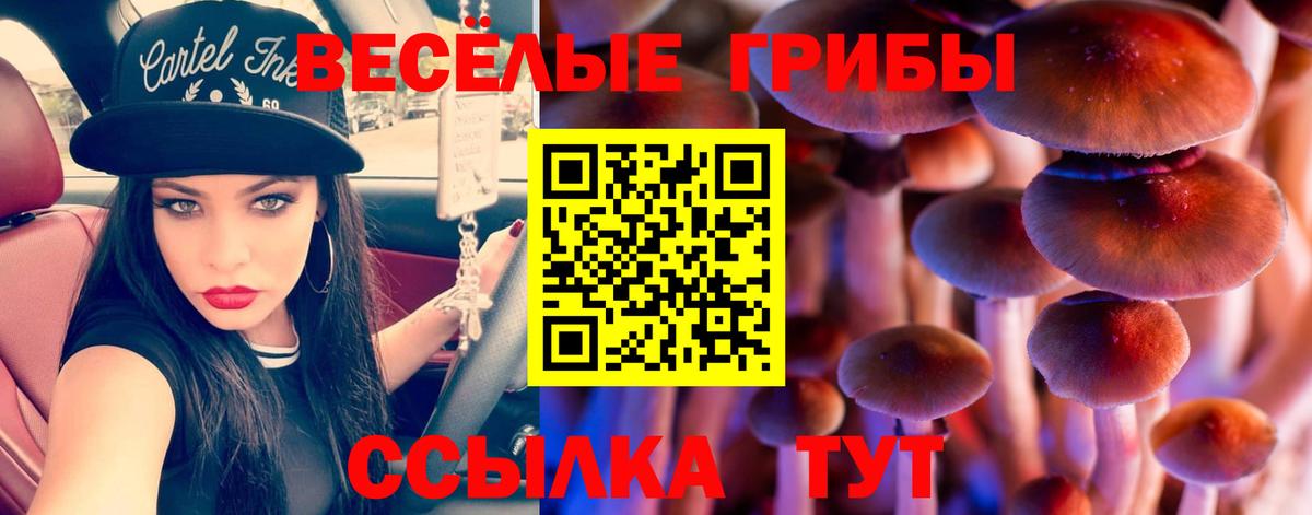 Псилоцибиновые грибы Psilocybe Озёры